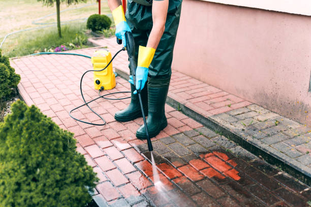 Best Local Pressure Washing Services  in Daniels Farm, CT