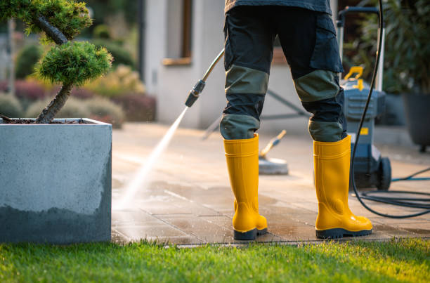 Best Pressure Washing Near Me  in Daniels Farm, CT